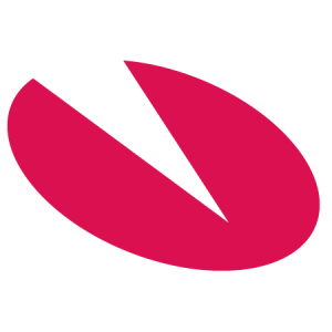 visma icon